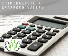 Criminaliste à  Spafford Valley