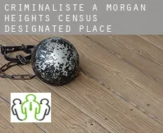 Criminaliste à  Morgan Heights