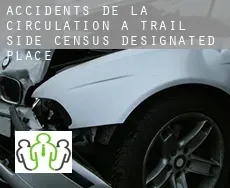 Accidents de la circulation à Trail Side