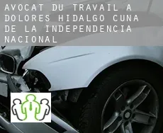 Avocat du travail à  Dolores Hidalgo Cuna de la Independencia Nacional