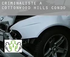Criminaliste à  Cottonwood Hills Condo