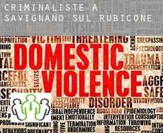 Criminaliste à  Savignano sul Rubicone